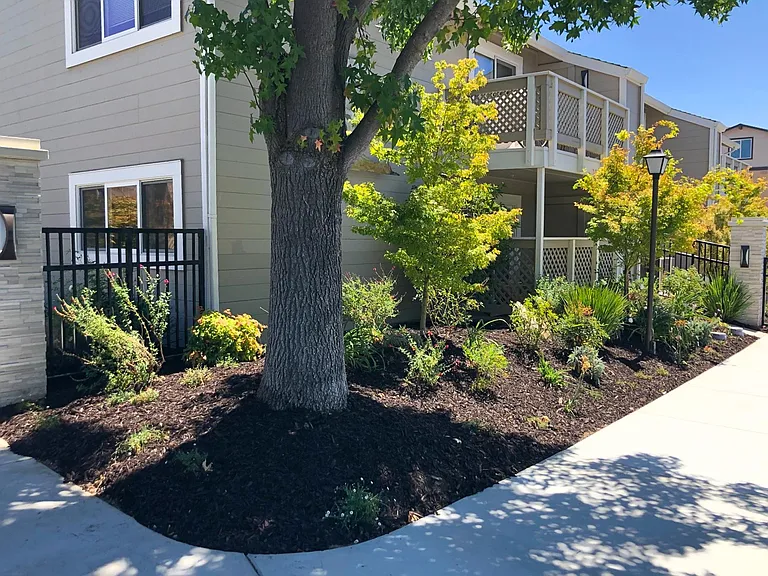 Cypress Pointe Apartments — Photo 5