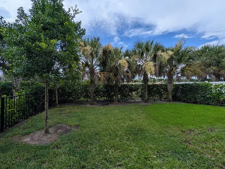 4315 Sylvester Palm Dr — Photo 29