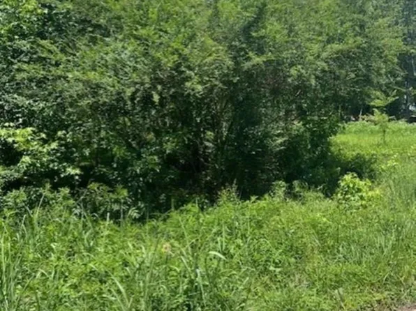 (undisclosed Address), Malvern, AR 72104