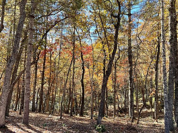 3rd image of LOT 156 Highland Park