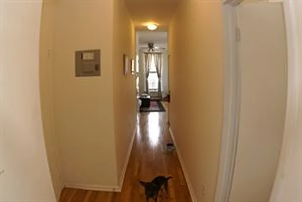 Rented by Douglas Elliman | media 31