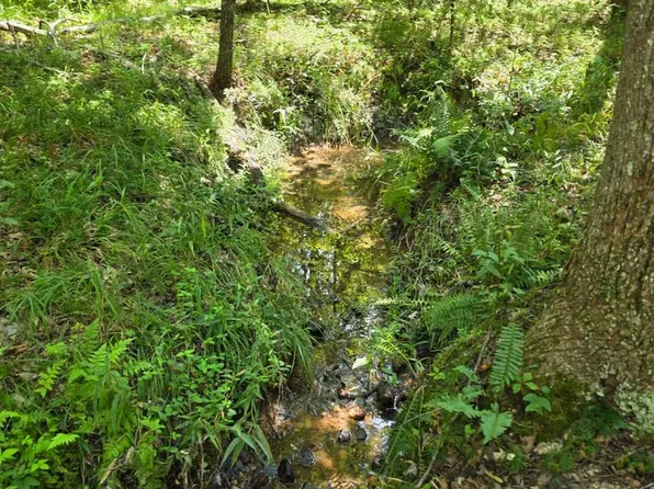 Johnson Hollow Rd, Louisa, VA 23093
