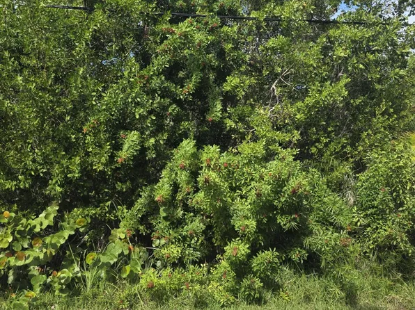 6 Palm Dr, Key West, FL 33040