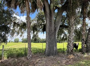 JOHNS ROAD, WAUCHULA, FL 33873