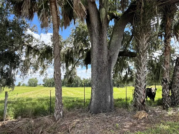 JOHNS ROAD, WAUCHULA, FL 33873