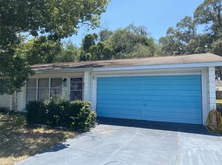 315 Belle Ayre Dr, Mount Dora, FL 32757