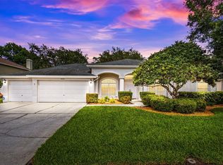 18545 Bittern Ave, Lutz, FL 33558