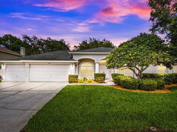 18545 Bittern Ave, Lutz, FL 33558