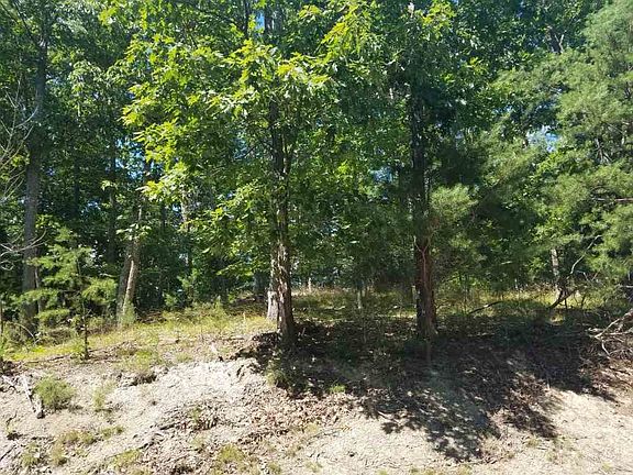3rd image of 1421 Echota Ln
