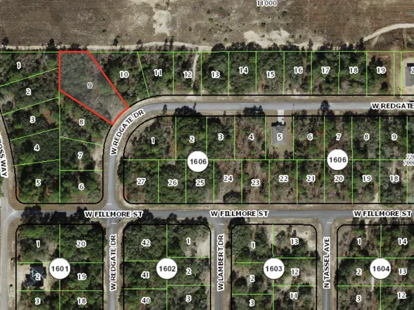 3051 W Redgate Drive, Citrus Springs, FL 34433