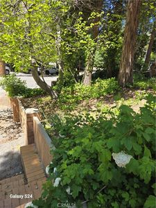 29053 Hook Creek Rd Lot 4, Cedar Glen, CA, 92321