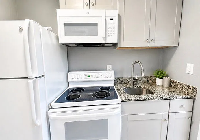1 bed, 1559 sqft, $900 — Photo 2