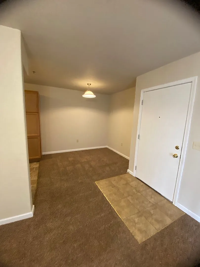 Lovely 1 bed 1 bath — Photo 3