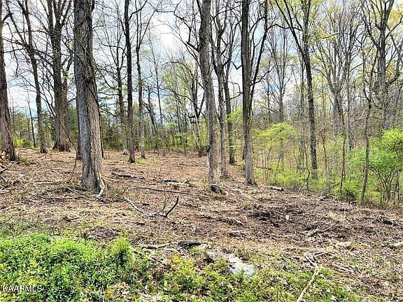 4th image of Melton Hill Dr