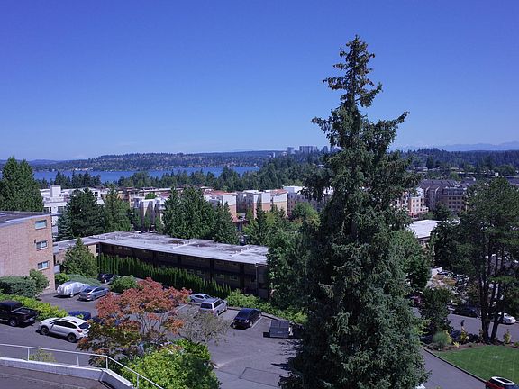 View from the living space