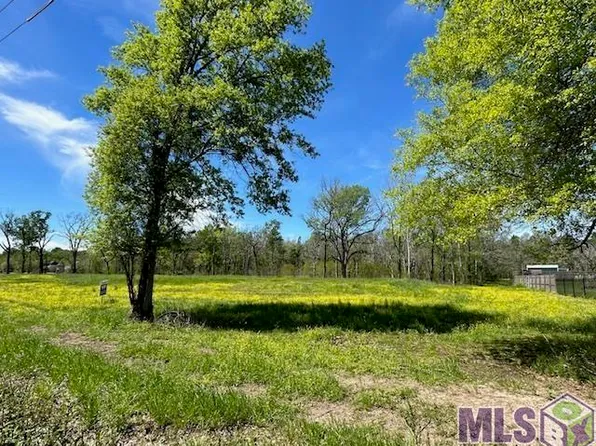 13045 Bluff Rd, Geismar, LA 70734