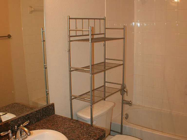 Guest Bathroom_03112016