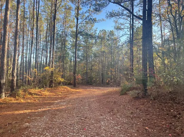0 County Road 7752, Troy, AL 36081