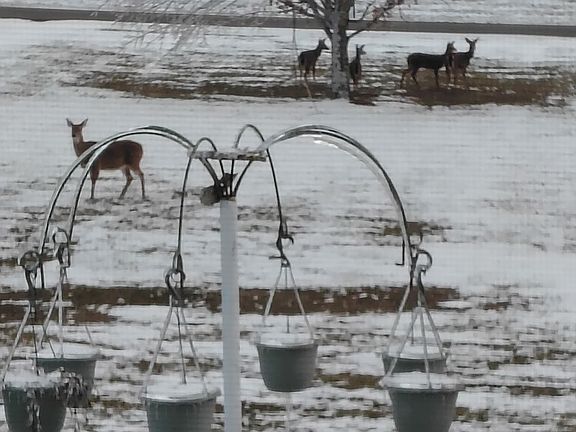 2nd image of 417 Buttermilk Hollow Rd