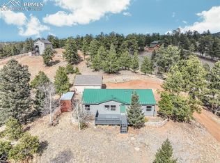 141 Navajo Cir, Florissant, CO 80816