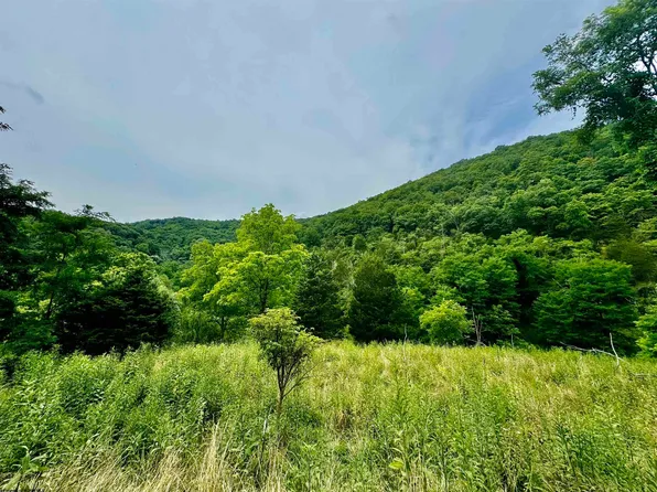 Dumpling Run Rd, Moorefield, WV 26836
