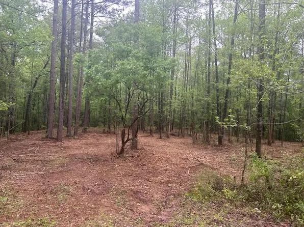 1 A Pittman Rd, Sandy Hook, MS 39478