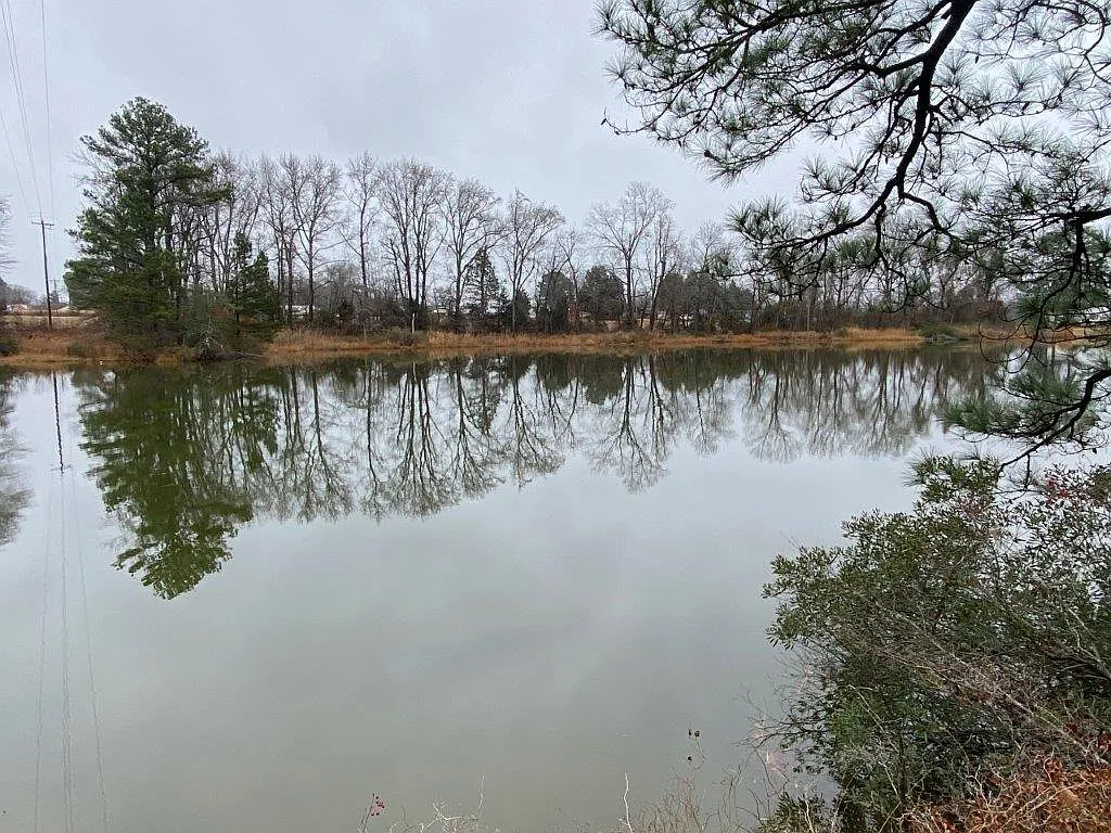 250 Apple Tree Rd photo 1