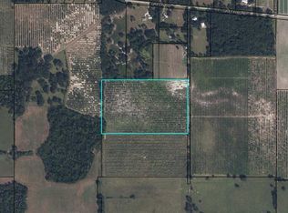 Hayman Rd, Wauchula, FL 33873
