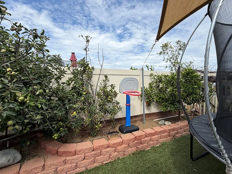 31817 Corte Mendoza — Photo 13
