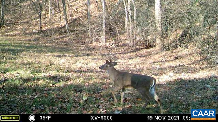 6421 Taylor Creek Rd, Afton, VA 22920 MLS 644709 Zillow