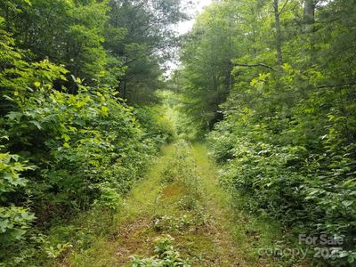 0 Rainstone Dr #24, Burnsville, NC, 28714