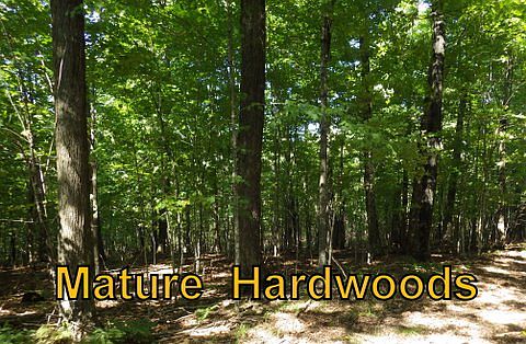3rd image of H13001 County Road G
