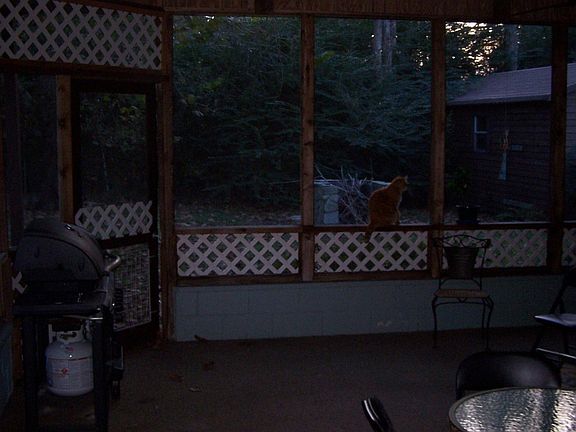 Back Porch