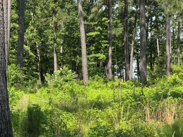 LOT 17 Private Road 6028, Brookeland, TX 75931