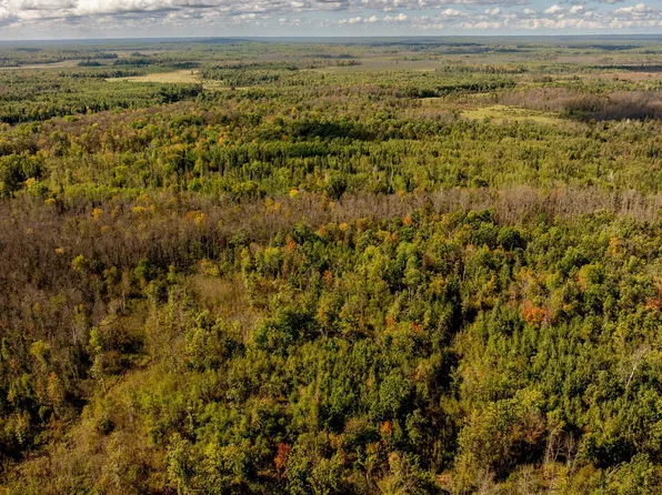 Little Pine Rd, Emily, MN 56447