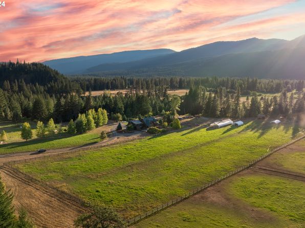 45 Cedar Spring Rd, Trout Lake, WA 98650