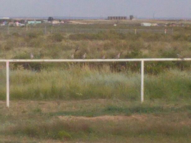 2nd image of Tovar Rd