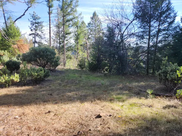 1196 Doe Rd, Rail Road Flat, CA 95248