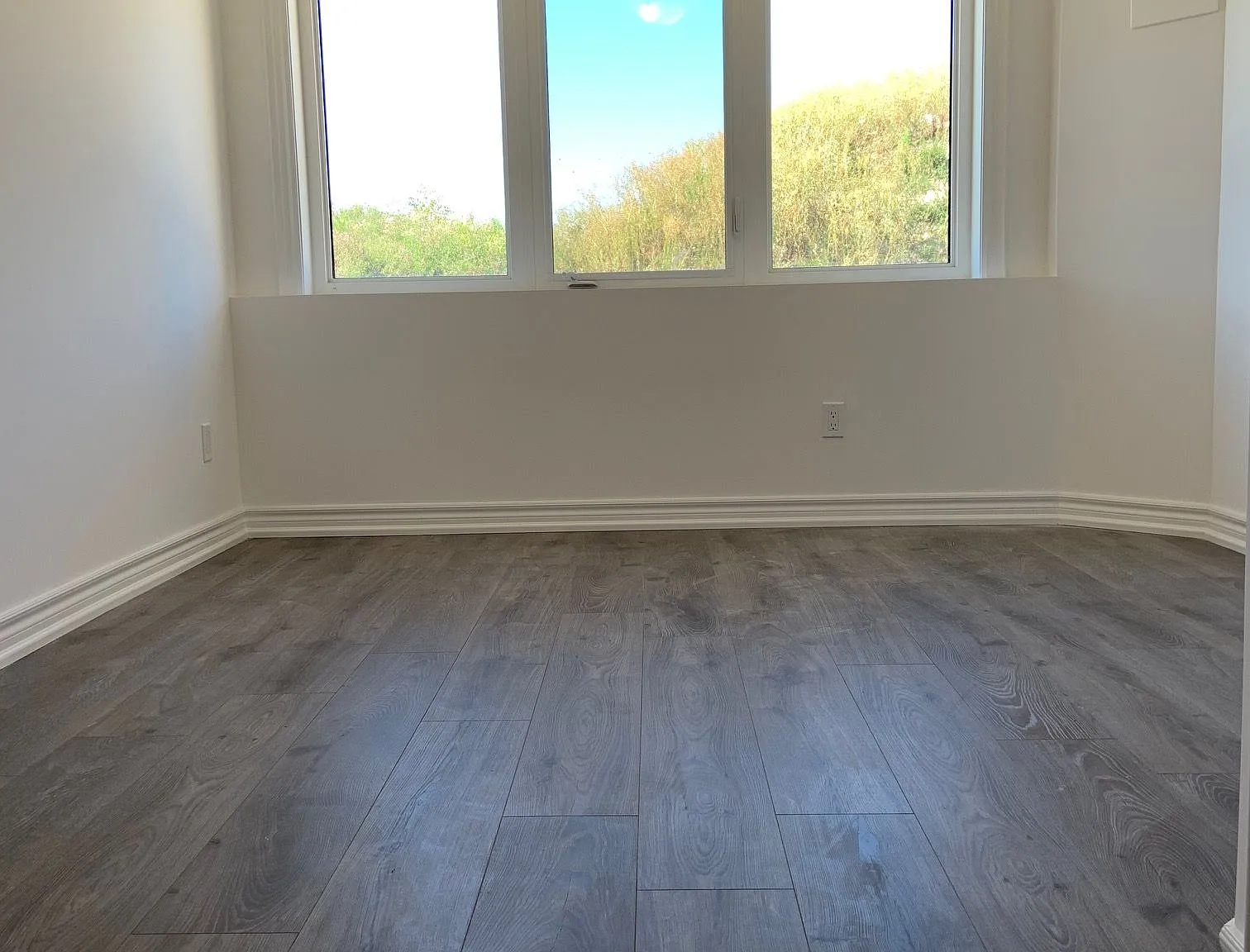 1 bed, $1,500 — Photo 2