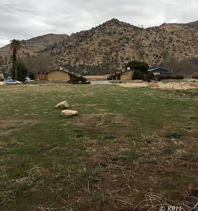 4th image of Golden Spur