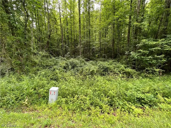 Vl Bald Knob Stiversville Rd, Portland, OH 45770