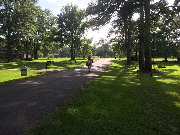 Neighbor on horseback. 