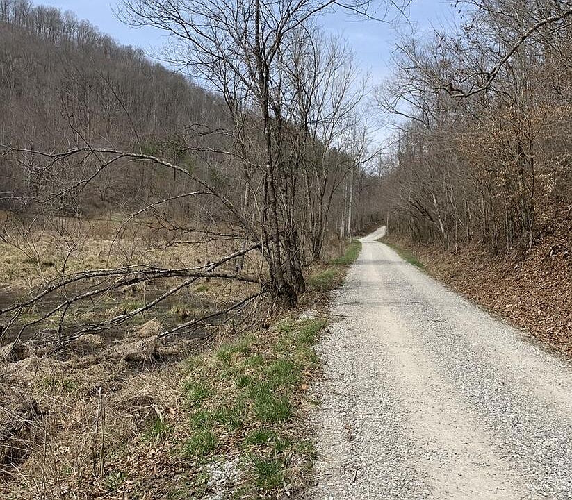 2nd image of 0 Left Fork Of Mills Creek Rd