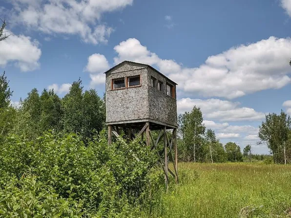 285th Pl, Palisade, MN 56469