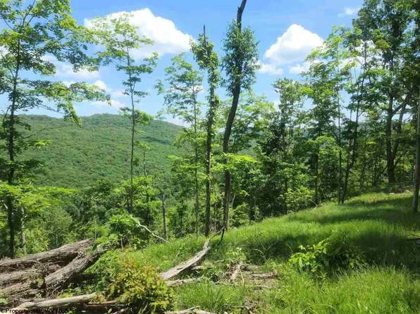 Lynn Chapel Rd, Grafton, WV 26354