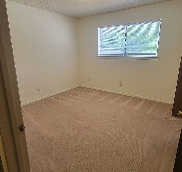 502 Mary St — Photo 11