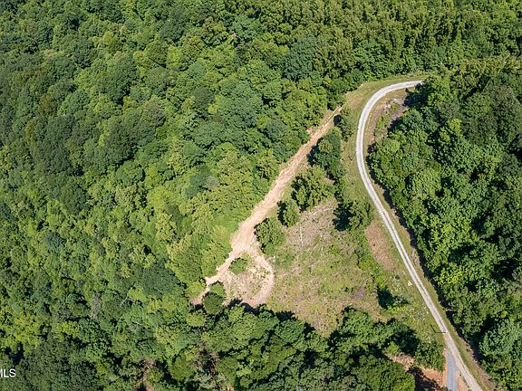 2nd image of 4 Ridgetop Ln
