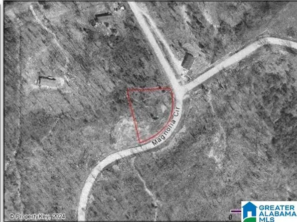 0 Shaina Ln #4, Cropwell, AL 35054