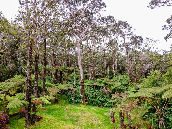 11-3811 9th St Lot 831, Volcano, HI 96785