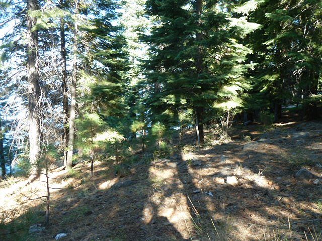 1st image of 1411 Lassen View Dr
